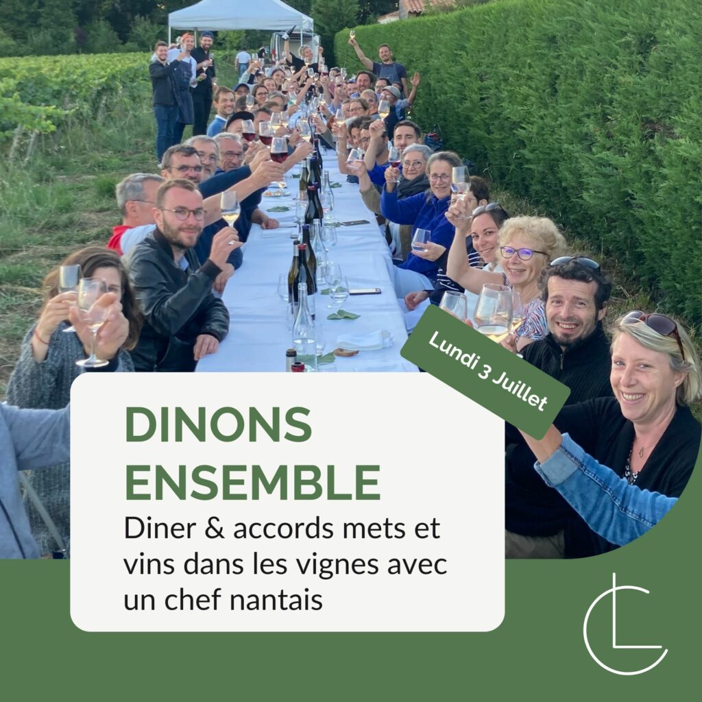 dinons ensemble dans les vignes