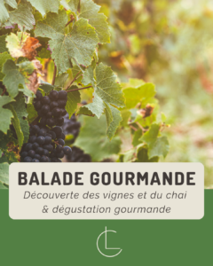 Balade Gourmande