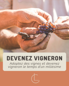 Devenez Vigneron