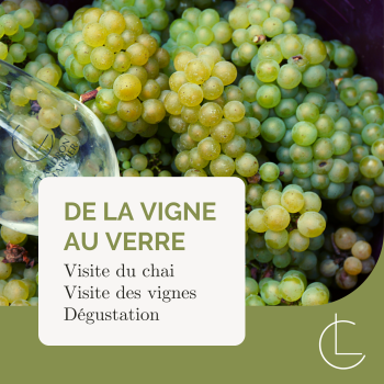 De la Vigne au Verre De la Vigne au Verre
