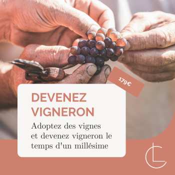 DEVENEZ VIGNERON