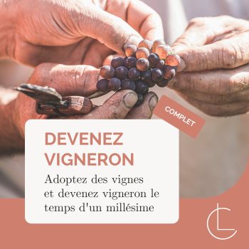 devenez-vigneron devenez-vigneron