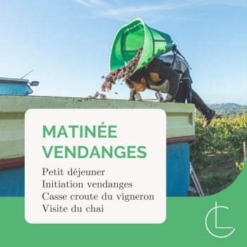 matinée-vendanges